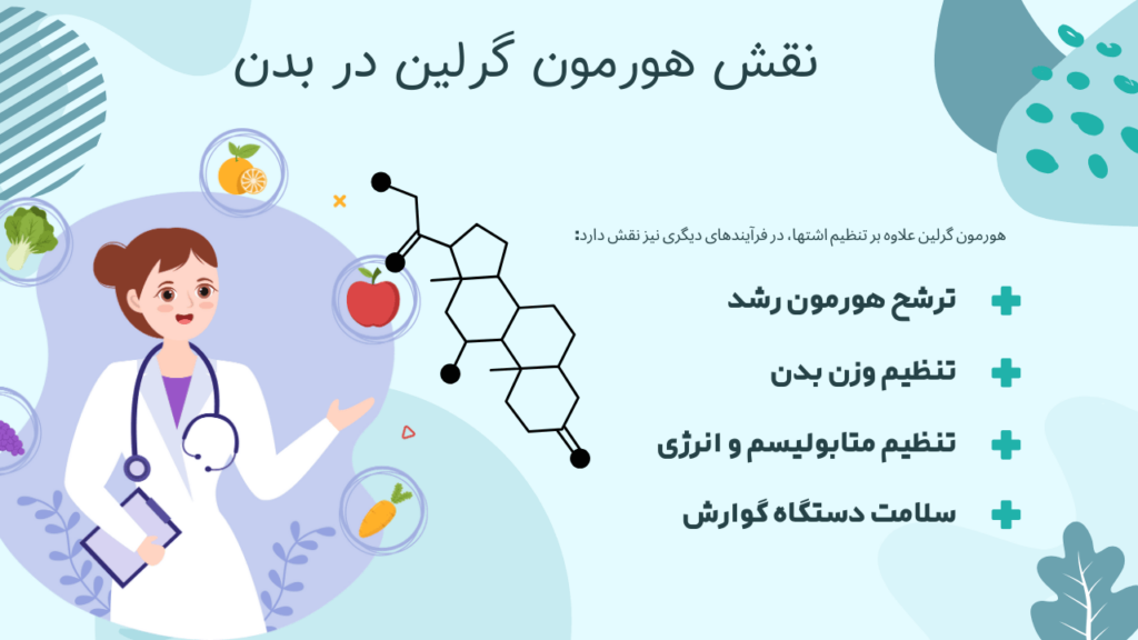 نقش هورمون گرلین در بدن