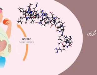 هورمون گرلین